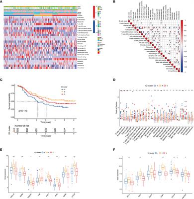 Characterization of the Immune Cell Infiltration Landscape in Esophageal Squamous Cell Carcinoma